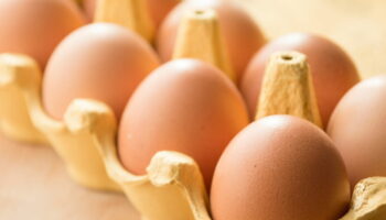 Ce détail sur votre boîte d'œufs que personne n'a remarqué va vous permettre d'en ranger encore plus
