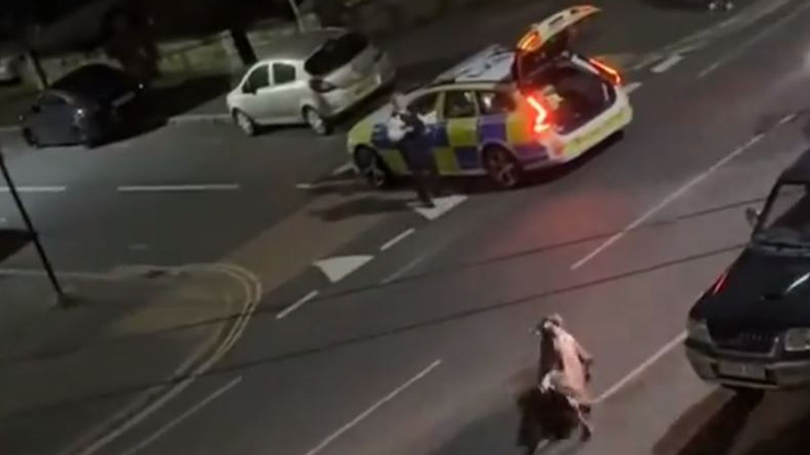 The video shows a cow being hit by a police car twice