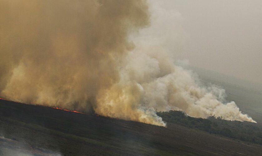 Umwelt: Knapp ein Viertel Brasiliens hat seit 1985 gebrannt