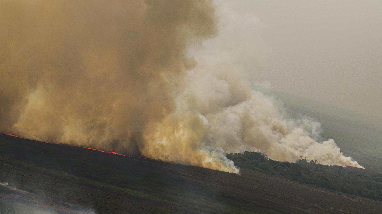 Umwelt: Knapp ein Viertel Brasiliens hat seit 1985 gebrannt