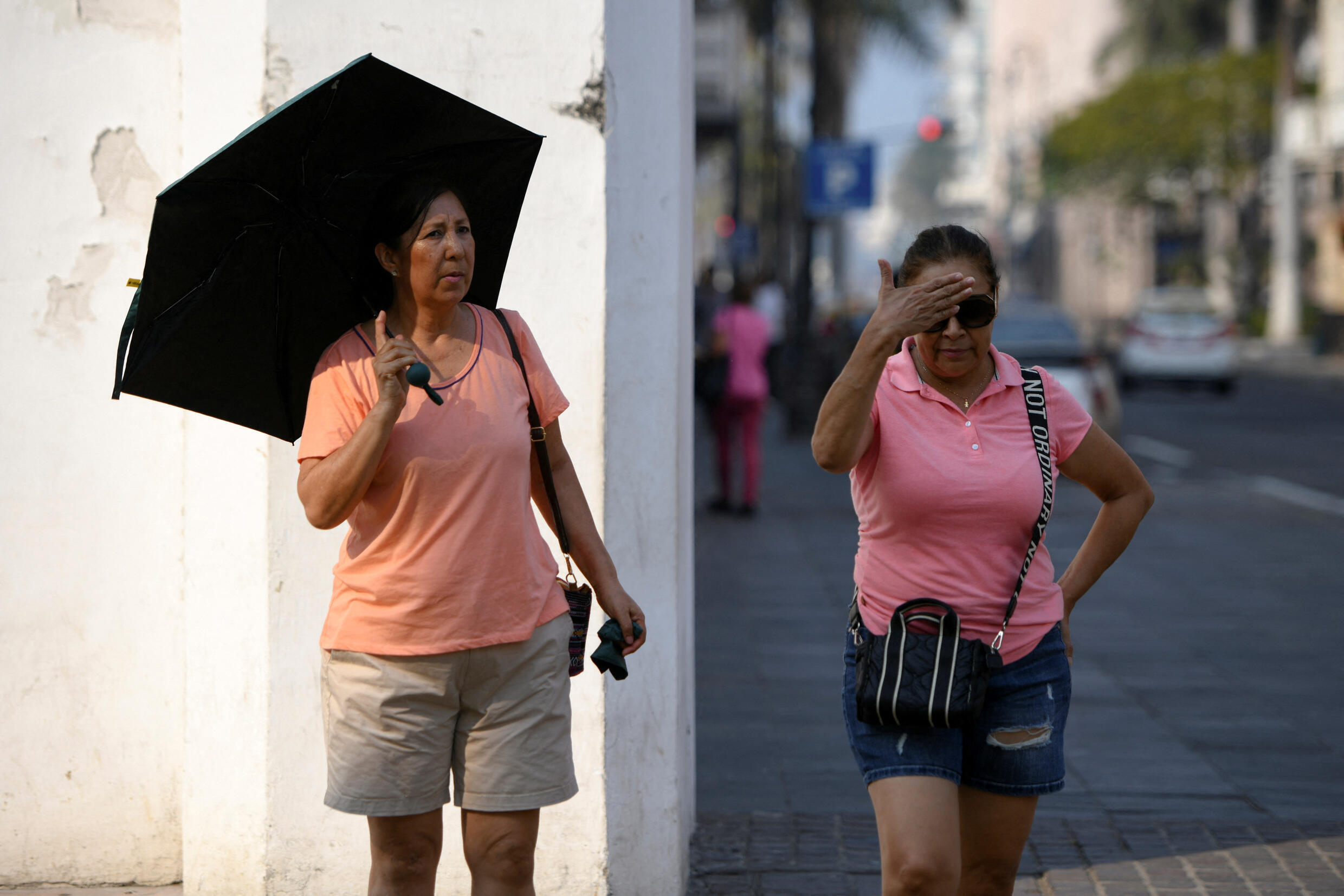 La canicule au Mexique a fait plus de 150 morts depuis le mois de mars