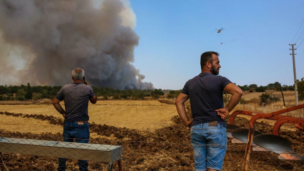 Brandkatastrophe: Fünf Menschen sterben durch Waldbrände im Südosten der Türkei