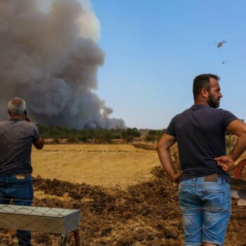 Brandkatastrophe: Fünf Menschen sterben durch Waldbrände im Südosten der Türkei