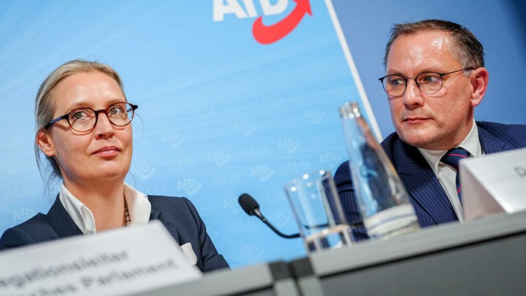 AfD plant offenbar Gründung ihrer eigenen Fraktion im EU-Parlament