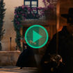Jean Dujardin dans « Zorro » : Casting, date, scénario… Tout savoir sur la série
