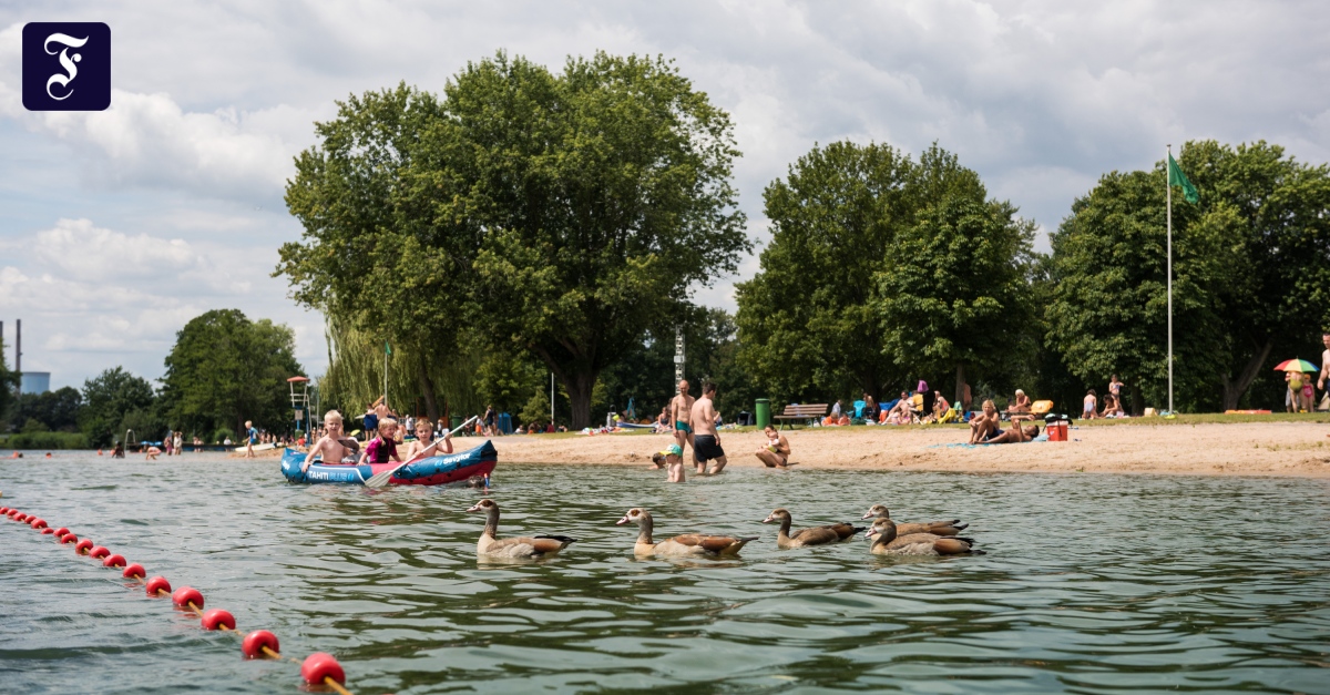 Wissenswertes für eine Abkühlung an hessischen Badeseen