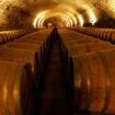 Edler Tropfen: Spanierin soll absichtlich Wein im Millionenwert verschüttet haben