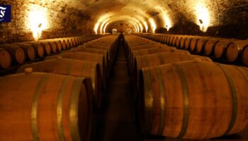 Edler Tropfen: Spanierin soll absichtlich Wein im Millionenwert verschüttet haben