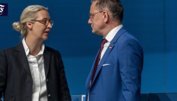 AfD-Parteitag in Essen: Weidel und Chrupalla als Vorsitzende wiedergewählt