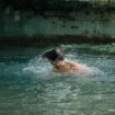 3 moyens de savoir si la rivière où vous allez vous baigner contient des excréments humains