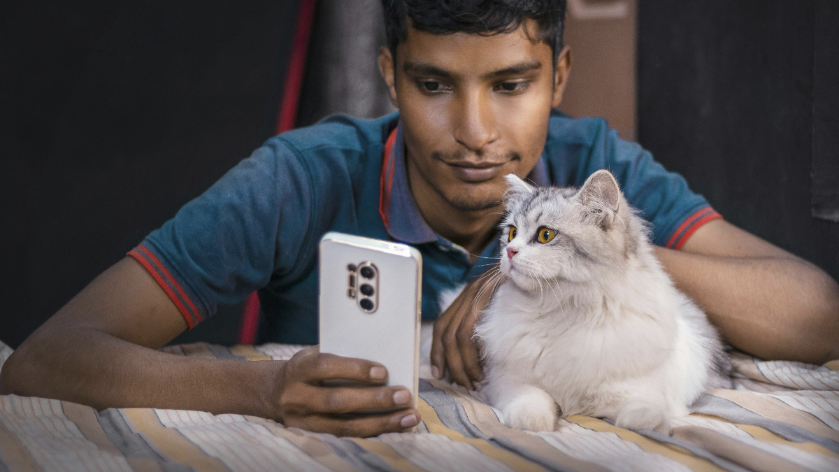 A partir d'une photo de votre chat, cette IA vous dit s'il est en bonne santé