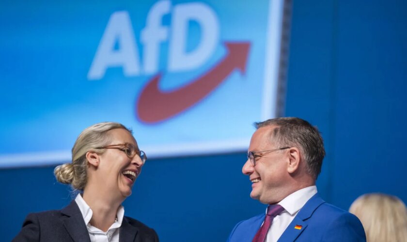 AfD-Parteitag: Chrupalla bleibt AfD-Vorsitzender