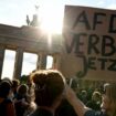 AfD-Verbot: Kampagne erhöht den Druck