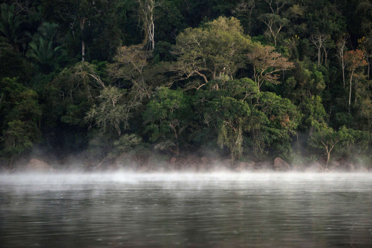 Au Brésil, Lula renforce la protection de la forêt amazonienne