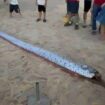 Deep sea oarfish which ‘predicts’ natural disasters washes up on beach