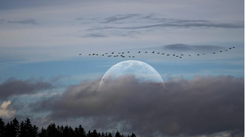 Drei Theorien: Geheimnisvoller Erdtrabant – woher kommt der Mond eigentlich?