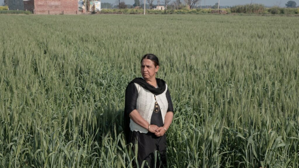 En Inde, les femmes «lune de miel» abandonnées par leur mari expatrié