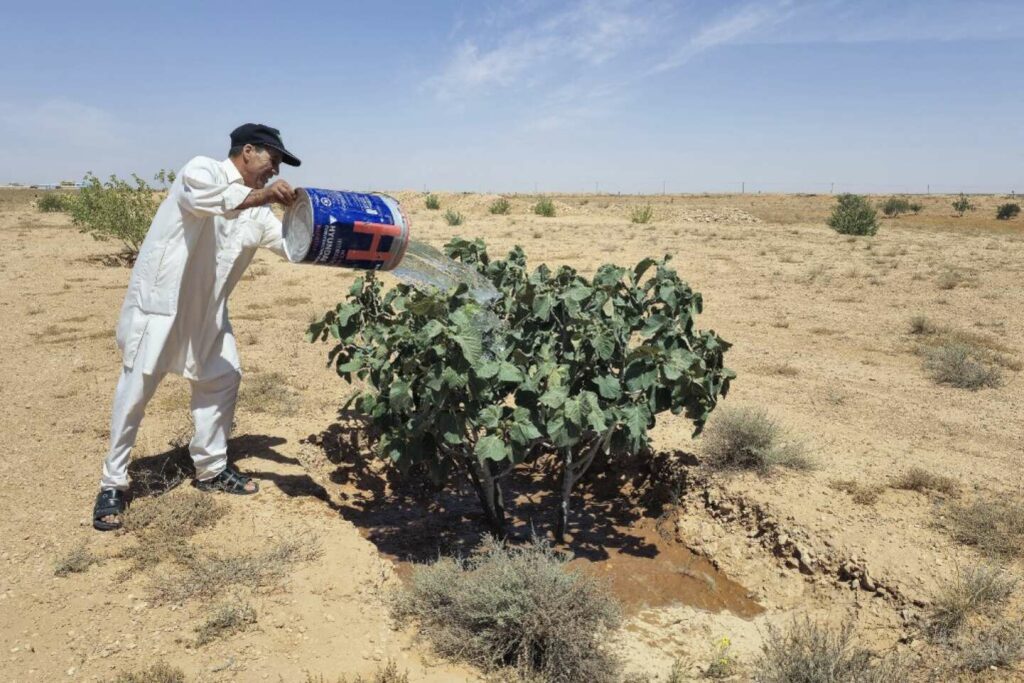 En Libye, le djebel Nefoussa s’assèche dangereusement sous l’effet du dérèglement climatique