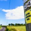 Expert solves mystery of what letters and numbers on telegraph poles mean