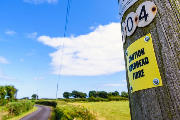 Expert solves mystery of what letters and numbers on telegraph poles mean