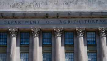 Federal judge halts disaster aid program for minority farmers