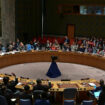 Gaza : le Conseil de sécurité de l’ONU apporte son soutien au plan de trêve présenté par Washington, le Hamas salue cette décision
