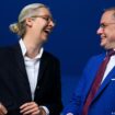 Germany's far-right AfD reelects leadership duo