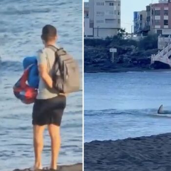 Gran Canaria beach shut after massive seven-foot shark spotted lurking in waters