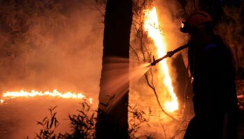 Incendie dans le Var : le feu, désormais contenu, serait « d’origine accidentelle »