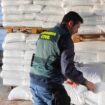 Investigan a seis personas en Córdoba por vender cereales para alimentar animales como semilla de siembra