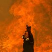 Klimawandel: „Diese extremen Brandereignisse tragen die Spuren des Klimawandels“
