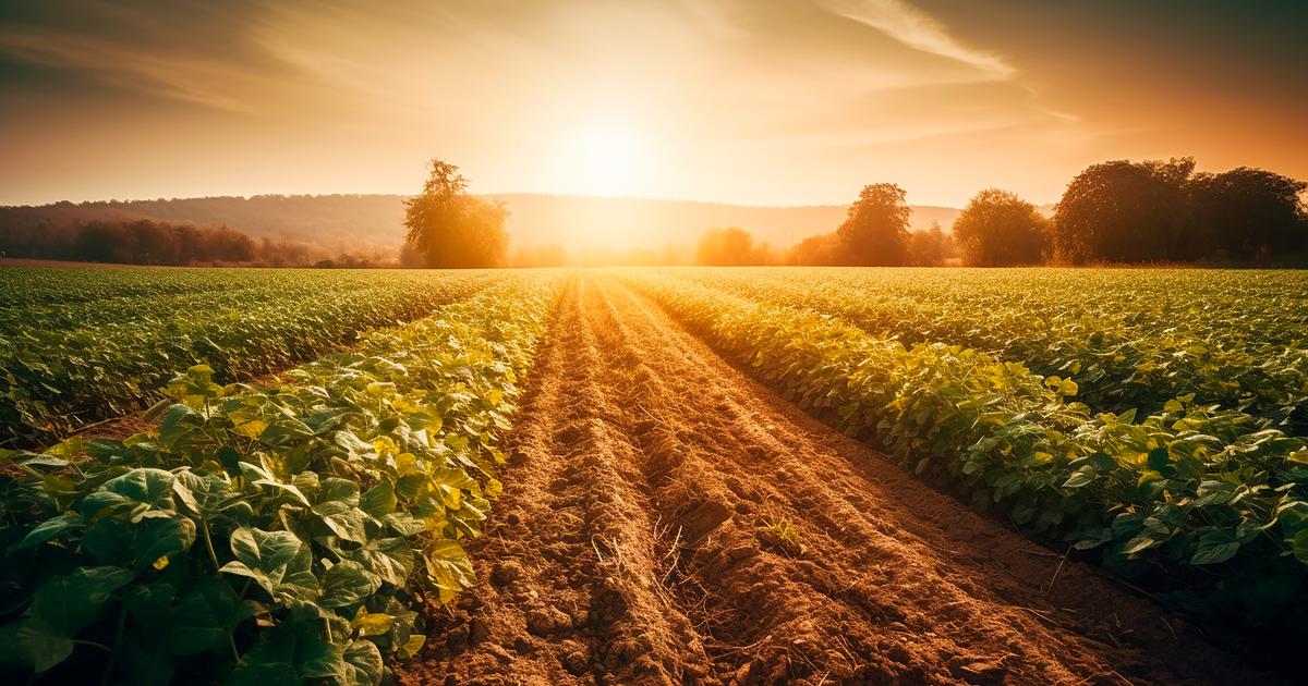 La météo du jeudi 13 juin: le soleil est enfin de retour !