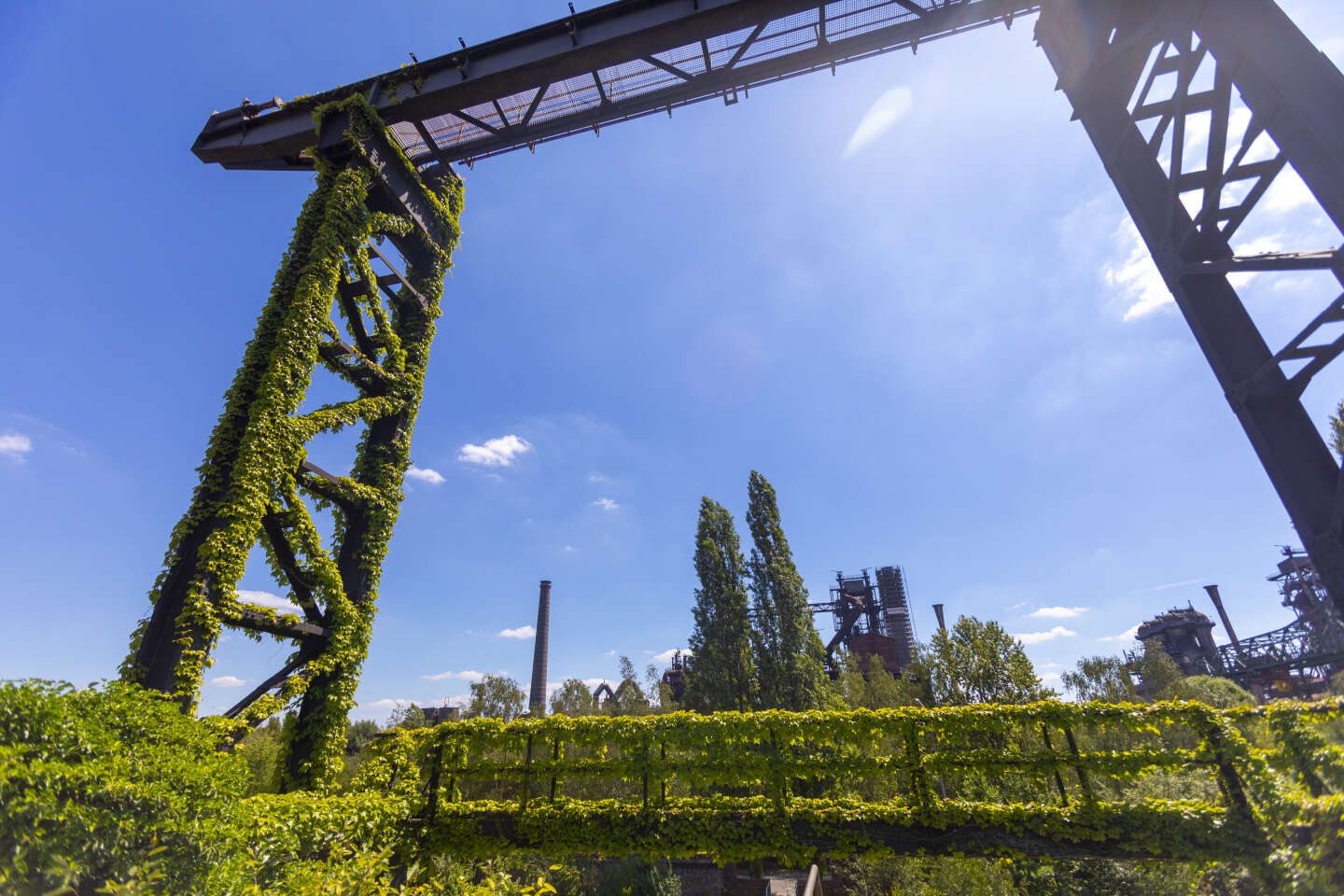 « La taxe sur la pollution ajoutée se veut un miroir environnemental de la TVA »