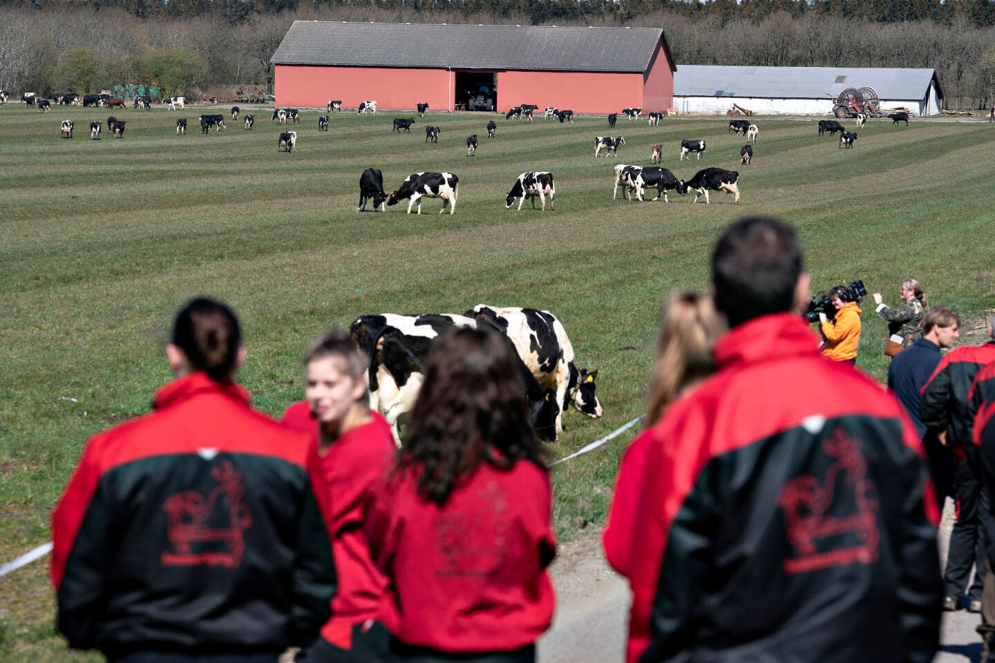 Le Danemark, premier pays au monde à taxer les émissions de CO₂ des exploitations agricoles