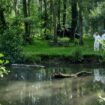 Le parc de Géresme de Crépy-en-Valois fermé après une pollution au fioul