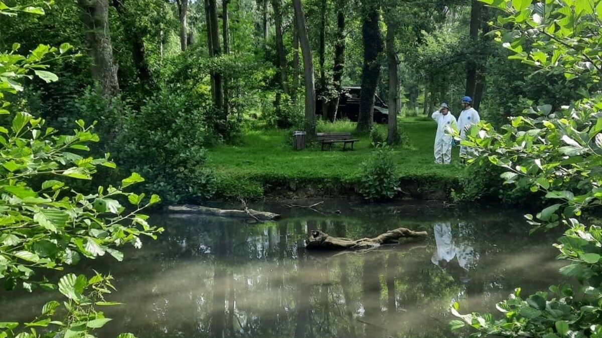 Le parc de Géresme de Crépy-en-Valois fermé après une pollution au fioul