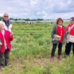 Lieusaint : les 35 hectares urbanisables de la ferme-cueillette de Servigny resteront des terres agricoles