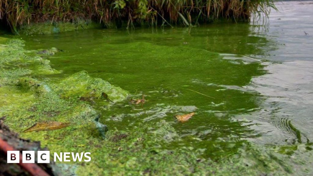 Lough Neagh needs significant investment - report