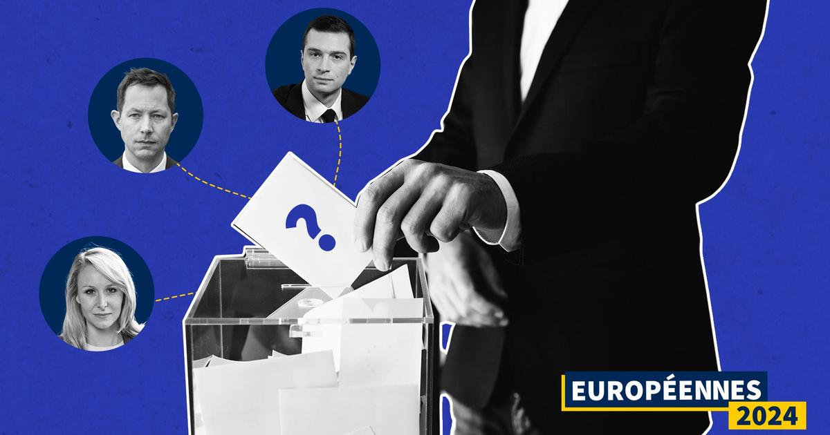 Maréchal, Bardella, Bellamy : ces électeurs qui hésitent face à trois nuances de droite pour les européennes