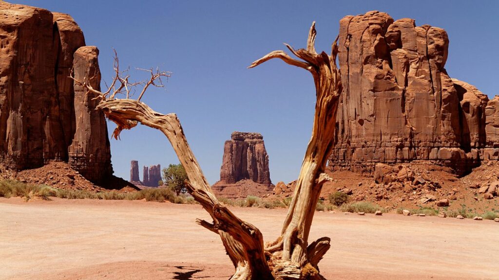 Même la vallée de la Mort a trop chaud à cause du réchauffement climatique