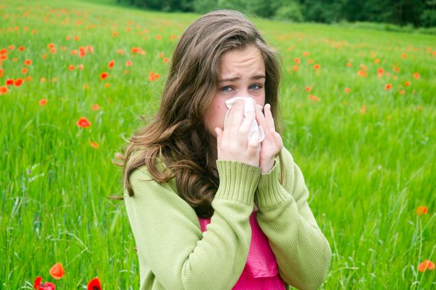 Met office warning as hay fever bomb set to hit 15 million Brits this week