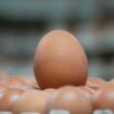 Ungestempelte braune Eier liegen in einer Verpackungshalle. Foto: Soeren Stache/dpa