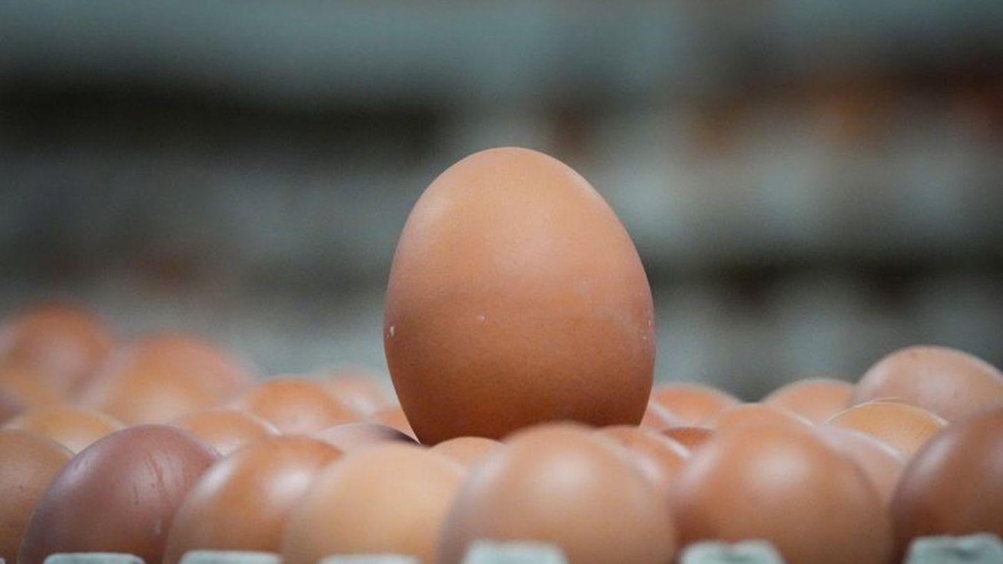 Ungestempelte braune Eier liegen in einer Verpackungshalle. Foto: Soeren Stache/dpa