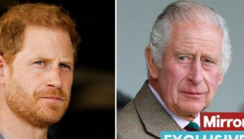 Prince Harry 'directly asked by King Charles not to leak any more Royal Family secrets'