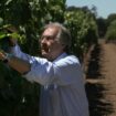 Remembering a giant of winemaking in California and beyond