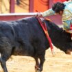 Sorpresa en los carteles de la Feria de Málaga con Morante anunciado en el homenaje a Paquirri