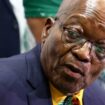 South Africa: Zuma's MK party to join opposition alliance