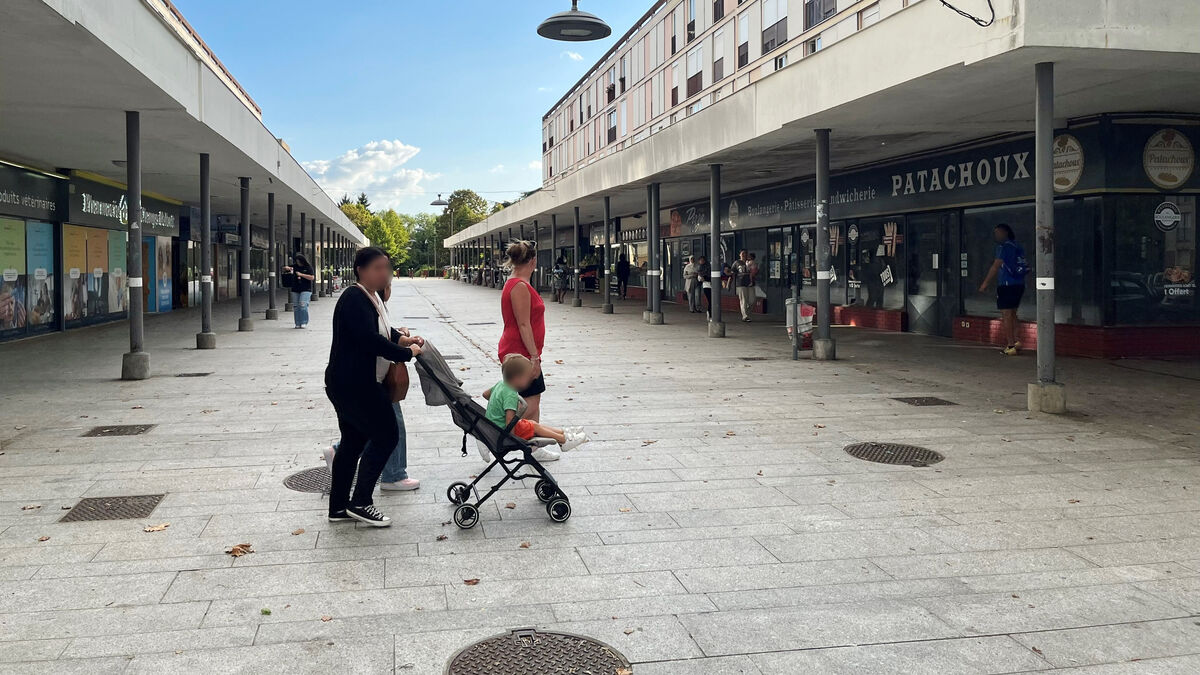 Trafic de drogue dans l’Oise : sept interpellations et plusieurs kilos de cannabis saisis à Beauvais