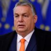 Ungarn als EU-Ratsvorsitz: Makeln oder Meutern?