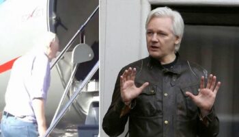 WikiLeaks founder Julian Assange thanks supporters before boarding plane at Stansted Airport